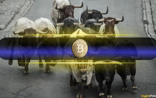 Bitcoin Price Reclaims $112K as Bull Market Sentiment Returns