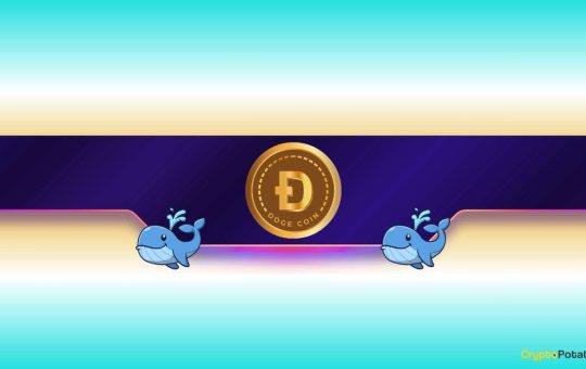 30,000,000 DOGE in Just 1 Day: Is Dogecoin Gearing up for Further Rally?