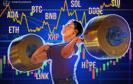 Bitcoin Chases New All-time Highs, Altcoins Gear Up to Follow