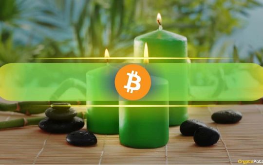Bitcoin Cycle Shift? Analyst Puts 55–65% Odds on Green 2026