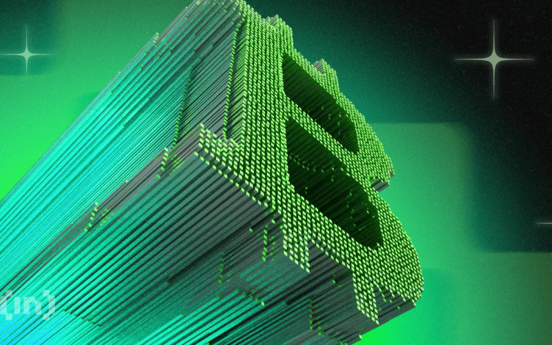 Bitcoin Whales Return as Bull Market Enters Third Phase