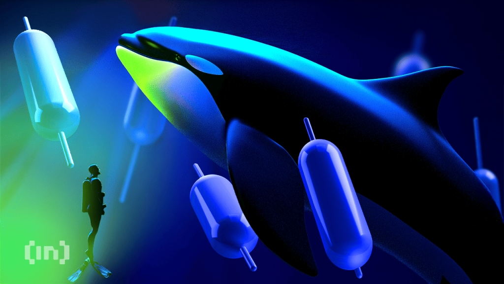 Story (IP) Surges 100%, But Warning Signs Are Emerging