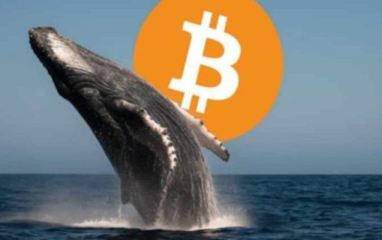 Bitcoin flirts with $72K while a whale bets $80M it won’t last