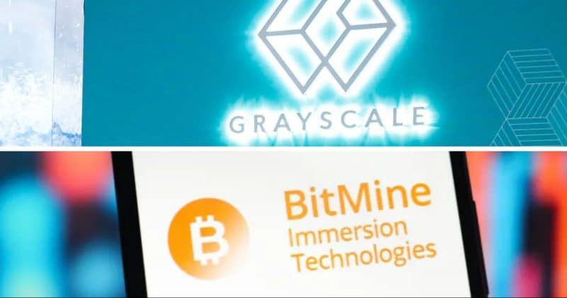 Grayscale, Bitmine stake nearly $500 million in Ethereum: On-chain data